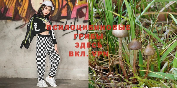 Альфа ПВП Аркадак
