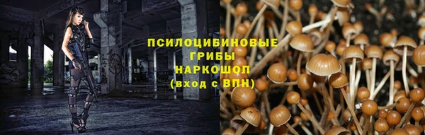 Альфа ПВП Аркадак