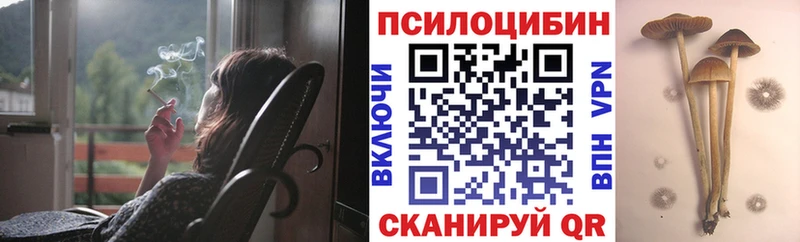 Псилоцибиновые грибы Psilocybe  это состав  Пыталово 